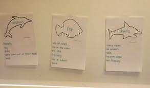 For more fun toddler activity ideas you can join our facebook group or. Ocean Animals 4 Ways Science Language Math And Art For Preschool And Kindergarten Kidssoup