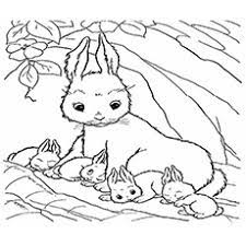 Coloring, the act of adding color to comic book pages, where the person's job title is colorist Top 15 Free Printable Bunny Coloring Pages Online