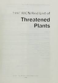 Image result for Dicliptera swynnertonii