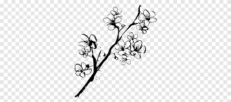 Lukisan kaligrafi pemandangan alam nuansa biru. Menggambar Cherry Blossom Sketsa Sketsa Bunga Putih Daun Png Pngegg