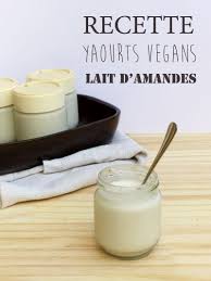 Ma Recette De Yaourts Vegans Au Lait D Amandes Sensitive Colibri Recette Yaourt Recette Yaourt Maison Lait D Amande