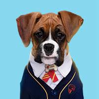 Is a netflix upcoming american family television series. Pup Academy Gr 1 3 Health Tvokids Com