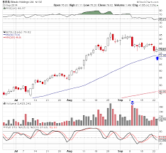 The Market Speculator Stock Chart Of The Day Bita