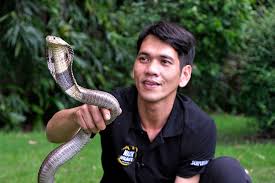 Snake is one of the most popular mobile phone games of all time. Thailand S Steve Irwin Wants To Make Snakes Less Scary Csmonitor Com