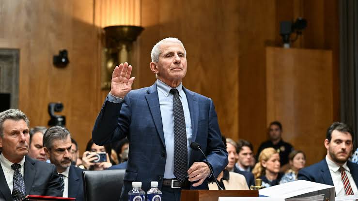 Fauci invokes Fifth Amendment in heated COVID-19 Senate hearing | Politics  News | Al Jazeera