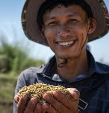 A N N U A L R E P O R T