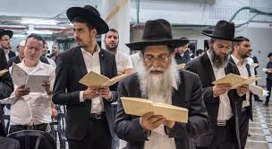 In addition, they cast the. A Sabra Is A Jewish Person Born In Trivia Questions Quizzclub