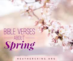 We did not find results for: Bible Verses About Spring Heather C King Room To Breathe