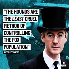 Damian Field (@DamoField)