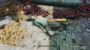 Mothmen, referred to as the bright one(s) by cultists, are cryptid creatures found in appalachia. Fallout 76 Prosnap Camera Locations Bucket List Quest Guide