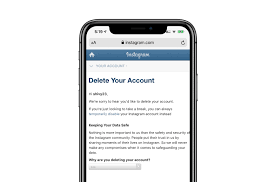 How to permanently delete your instagram account (2021 guide). How To Delete Instagram Account On Iphone All Things How