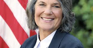 Responses submitted to anti-SLAPP lawsuit, filed by Councilmember Rule, Jon  Drucker