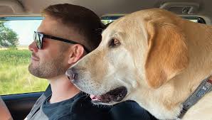 Lee Boren (@jeezleeweez) • Instagram photos and videos