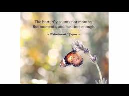 The 100 Butterfly Quotes Lovequotesmessages