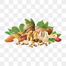 Realistic Different Nuts Png And Vector Different Nuts Graphic Design Background Templates Font Illustration