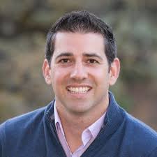 Bildergebnis für David Shapiro