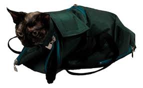 Start trimming claws in young animals so that they get used to the process. The Top 5 Cat Grooming Harnesses These Will Make Your Task A Lot Easier Catvills