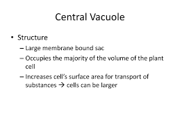 Maybe you would like to learn more about one of these? Cell Structure And Function Evy Yulianti Ppt Download