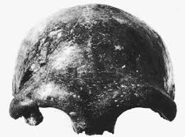 Neanderthal Man