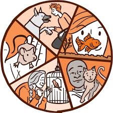 A pet for life, inc., is an organization dedicated to the rescue and placement of dogs and cats. The Power Of Pets Nih News In Health