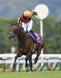 1993（平成５）年 トウカイテイオー ☆ 第38回 有馬記念 完全中継 （＋ 中央競馬ダイジェスト）. å¤©çš‡è³ž æ˜¥ ãƒ¬ãƒ¼ã‚¹ã®æ³¨ç›®ç‚¹ ã‚µãƒ³ã‚¹ãƒzbat ç«¶é¦¬