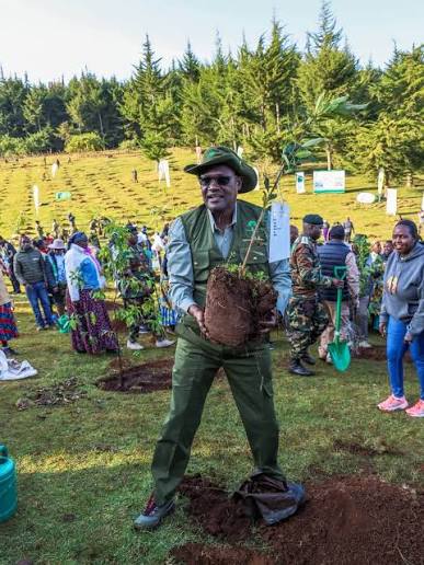 Kenya Forest Service and Furaha & Baraka Farms Sign Framework of Collaboration to Restore 3,000 Hectares of Mangroves The Kenya Forest Service (KFS) has officially entered into a Framework of Collaboration (FOC)
