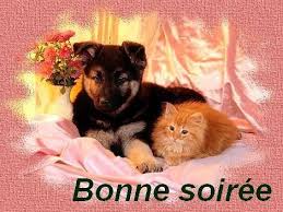 Gifs Gratuits Pjc Image Bonne Soiree Image Bisous Dessin Animaux Mignons