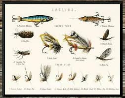 classic trout bass flies chart vintage fishing vintage 8x10 photo print ebay