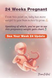 24 Weeks Pregnant 24 Weeks Pregnant 26 Weeks Pregnant 20