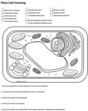 Check spelling or type a new query. Biologycorner Worksheets Teaching Resources Teachers Pay Teachers