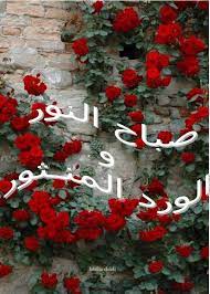 صباح النور والورد المنثور christmas wreaths holiday decor flowers