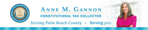 3 is florida dmv accepting walk ins? Appointments Constitutional Tax Collector