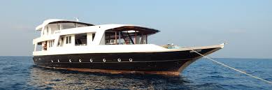 Aisha was the daughter of the second leader of the muslim community, abu bakr. Schnorchelkreuzfahrt Mit Der Mv Aisha Auf Den Malediven