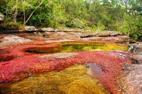 Located in the serrania de la macarena, a mountain range in the southern central part of colombia and probably the most biodiverse area on the planet, caño cristales is not easy to get to, but it can make your travel in colombia unique and special. Cano Cristales Osprey Expeditions