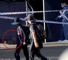 David Stemler death: Fresh bombshell in gruesome alleged gang killing as  prisoner, 30, is arrested