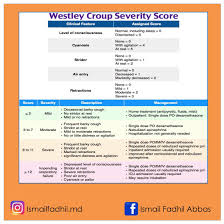 Image result for Croup Score