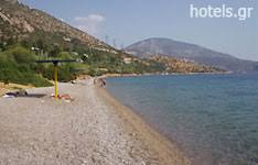 Jun 23, 2021 · τον καθαρισμό και τη διαμόρφωση των παραλιών του δήμου χαλκιδέων επιχειρεί αυτή την περίοδο η δημοτική αρχή και ο αντιδήμαρχος καθαριότητας γιώργος πάνου. Hotels 3enodoxeia Boiwtia Paralia Paralies Boiwtias Kentrikh Ellada