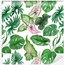 Choose from 27000+ mask graphic resources and download in the form of png, eps, ai or psd. Watercolor Tropical Leaves Png Watercolor Painti Png Image With Transparent Background Toppng