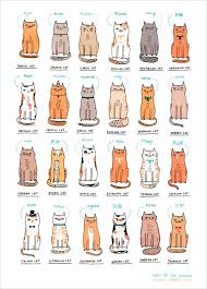 Gemma Correll S Limited Edition Art Print At L Affiche Moderne Cats Of The World Gemma Correll Cat Cats Illustration Baby Cats