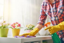 Image result for spring cleaning