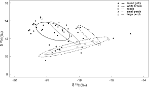 Cooked goby is a traditional dish made of fresh water fish and very popular in northern vietnam. The Food Web Positioning And Trophic Niche Of The Non Indigenous Round Goby A Comparison Between Two Baltic Sea Populations Springerlink