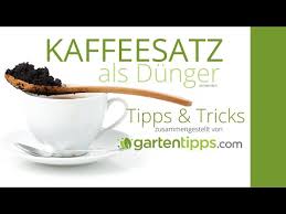 Dünger selber machen dünger für pflanzen selbst machen pflanzendünger selber machen hier kostenlos abonnieren. Kaffeesatz Kostenloser Dunger Fur Freiland Und Topfpflanzen