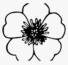 The manila metro rail transit (or better known as mrt or blue line) has been the main mode of transportation of commuters traveling along epifanio delos santos avenue (edsa) in metro manila, gaining tremendous popularity since its opening a decade ago. Coloring Page Poppy Flowers Veterans Day Pretty Flower Black And White Poppy Flower Hd Png Download Kindpng