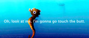 This becomes a tear jerker when you remember that in the very first scene. My Bubbles Finding Nemo Gif