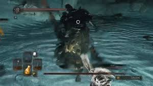 It's not about the weapon, the host needs to be smart. Dark Souls Ii Jolly Co Op Taking Down Fume Knight Animated Gif