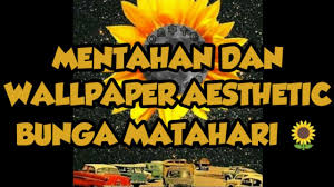 Multiple sizes available for all screen. Mentahan Dan Wallpaper Aesthetic Bunga Matahari Youtube
