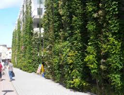 Check spelling or type a new query. Fassadenbegrunung Bluhende Industriegebiete