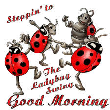 58 отметок «нравится», 1 комментариев — alessandro bordin (@al_in_the_world) в instagram: Good Morning The Ladybug Swing Ladybug Art Ladybug Morning Pictures