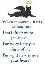 Loss Of Pet Pet Quotes Cat Pet Poems Cat Quotes
