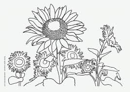 Apr 20, 2021 · simply print pdf file with flower worksheets and you are ready to play and learn with these life cycle worksheets. Sunflower Patch Coloring Page Worksheets 99worksheets
